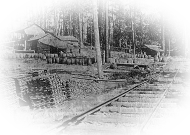 Life in a Logging Camp | Louisiana Myths & Legends