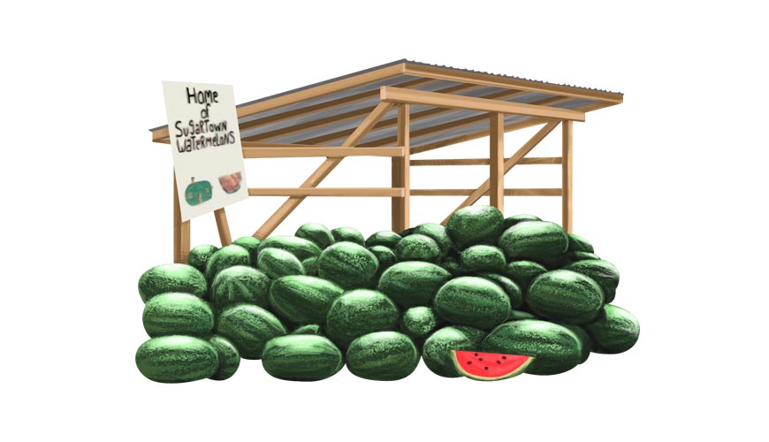 Sugartown Watermelon Stand - Beauregard Parish Louisiana