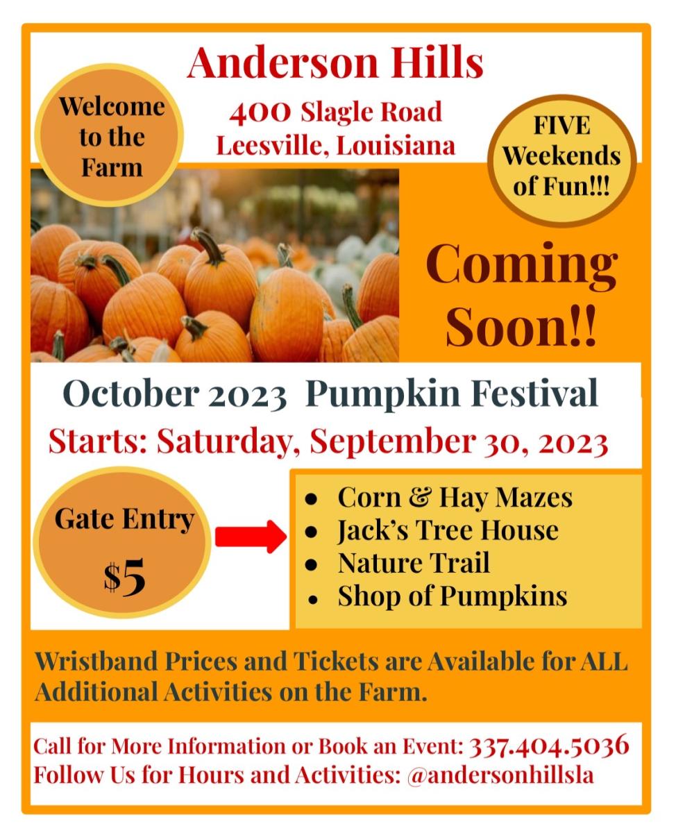 Anderson Hills Pumpkin Patch - Vernon Parish Louisiana