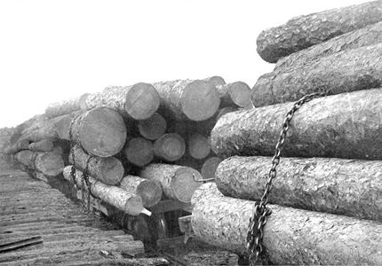 Logs from Louisiana Timber Museum
