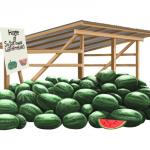 Sugartown Watermelon Stand - Beauregard Parish Louisiana
